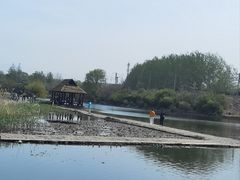 -前关湿地公园