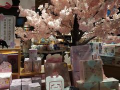 -九木杂物社(东方宝泰店)
