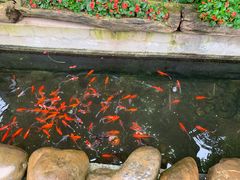 -海兰云天度假区温泉