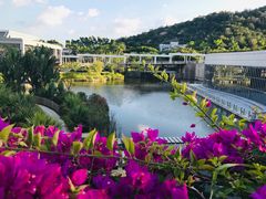 -厦门国家会计学院