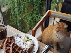 -远山有窑