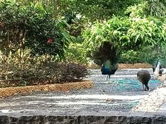 -南宁荔园维景国际酒店·荔园中餐厅