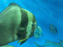 -北戴河圣蓝海洋公园