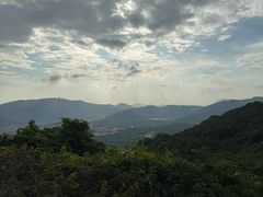 -三亚亚龙湾人间天堂鸟巢度假村