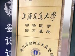-申普宠物医院·眼科·心内科·影像科(普陀分院)