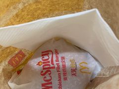 -麦当劳(鄂尔多斯机场店)