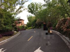 -上海崇明金茂凯悦酒店