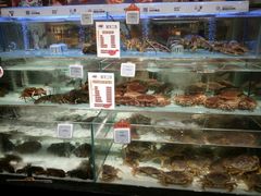 水产区-盒马鲜生(皇庭广场店)