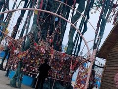 -太和环球嘉年华游乐园