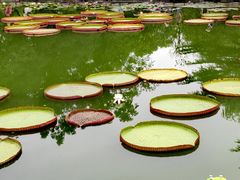 -国家植物园南园