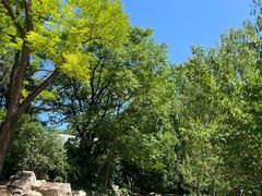 -北京动物园-畅观楼