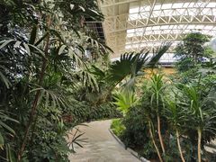 -郑州银基黄帝宫御温泉