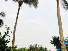 -三亚亚龙湾天域度假酒店