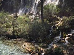 -九寨沟-树正沟