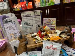 -宠爱国际动物医院·消化内科·心肾内科·ISFM猫友好(望京店)