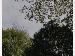 -T80科技文化国际社区-停车场