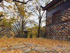-千年银杏谷文化旅游区