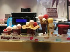 -哈根达斯(西安北郊店)