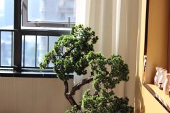 -JNK皮肤管理中心