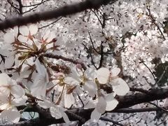 -堤角公园