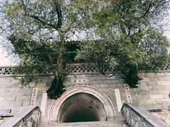 -泰山风景名胜区