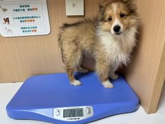 -谐和贝康宠物医院24小时·宠保定点(急重症转诊中心)