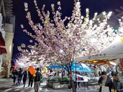 -同济大学(嘉定校区)