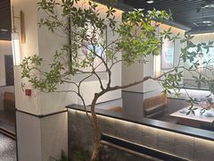 -大榕树下顺德菜(融创茂店)