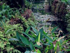 -中国科学院西双版纳热带植物园