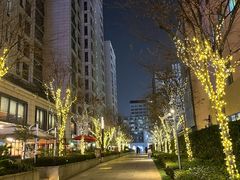 -一坐一忘云南菜(嘉里中心店)