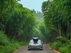 -莫干山风景区
