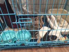 -伽利略剧本探案馆(国贸店)