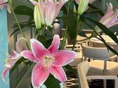 -南堂馆·新川菜(春熙路店)