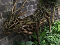 -三圣花乡旅游区