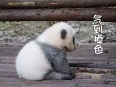 -核客电玩城(东门店)