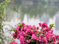 -东湖生态旅游风景区