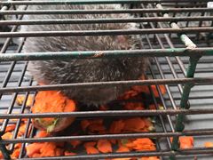 -百丈园(陈村店)