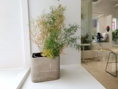 -花沐 FLOWER BATH(凤凰城店)