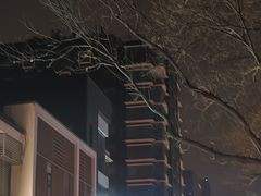 -苏力坦新疆特色(东直门店)