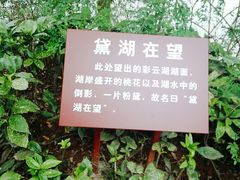 -重庆彩云湖湿地公园