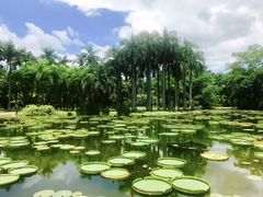 -中国科学院西双版纳热带植物园