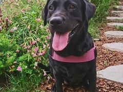 -叁山与肆客服号民宿(龙泉阳光城百工堰公园店)