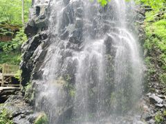 -凤凰山国家森林公园
