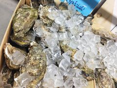 -囧吉香生蚝牛排馆(湖北路店)