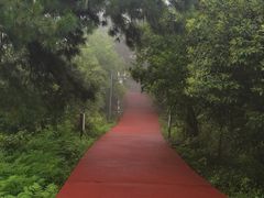 -敬亭山风景名胜区