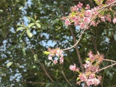 -静安雕塑公园