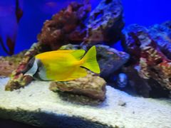 -上海海洋水族馆