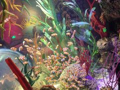 -沈阳海洋探索中心