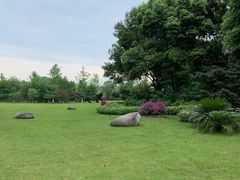 -邓小平故里