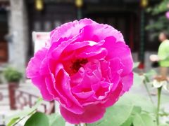 景点-湘子庙